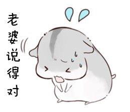 老婆爱我表情包,表情包里的甜蜜瞬间